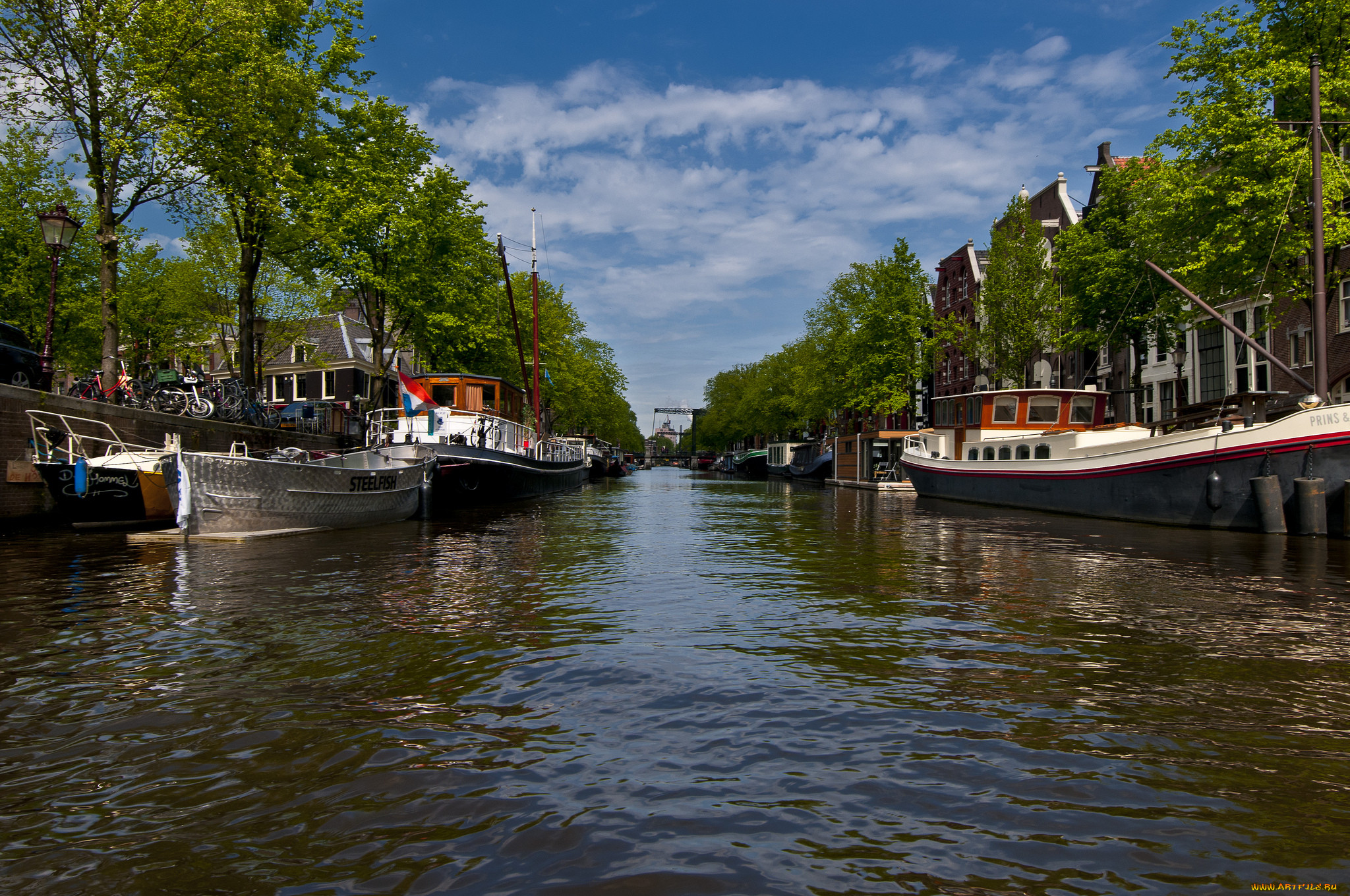 amsterdam, the, netherlands, , , , , 